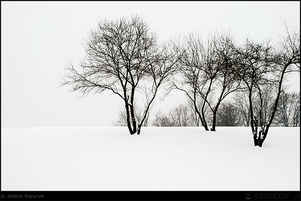 Fotografia: Iarna, peisaj mut / Winter, Silent Landscape, KERUCOV .ro © 1997 - 2025 || Andrei Vocurek