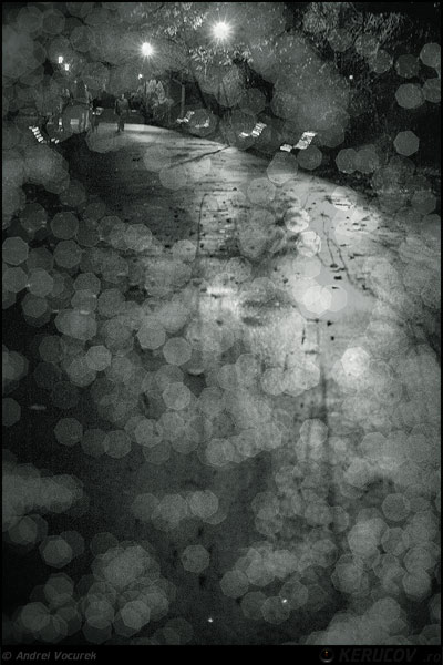 Fotografia: Atingere de ploaie / Touch Of Rain, KERUCOV .ro © 1997 - 2025 || Andrei Vocurek