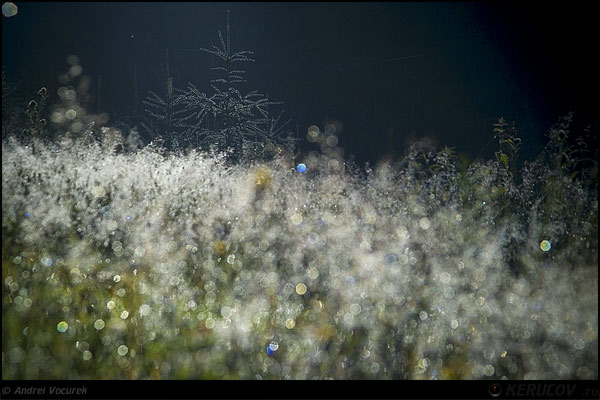 Fotografia: Stralucirile din zori / The Brilliants Of Dawn, KERUCOV .ro © 1997 - 2024 || Andrei Vocurek