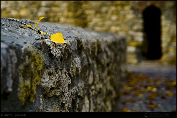 Fotografia Stare de toamna / State Of Autumn, album Orasul oarecare - Puncte peste asfalt / Some City - Spots on the Asphalt, Budapesta / Budapest, Ungaria / Hungary, KERUCOV .ro © 1997 - 2025 || Andrei Vocurek