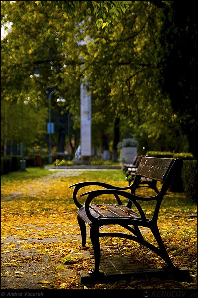 Fotografia Banca / The Bench, album Orasul oarecare - Puncte peste asfalt / Some City - Spots on the Asphalt, Bacau / Barchau / Bako, Romania / Roumanie, KERUCOV .ro © 1997 - 2025 || Andrei Vocurek
