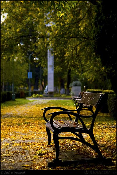 Fotografia Banca / The Bench, album Orasul oarecare - Puncte peste asfalt / Some City - Spots on the Asphalt, Bacau / Barchau / Bako, Romania / Roumanie, KERUCOV .ro © 1997 - 2024 || Andrei Vocurek