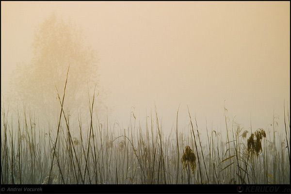 Fotografia: Elementar / Elementary, KERUCOV .ro © 1997 - 2025 || Andrei Vocurek