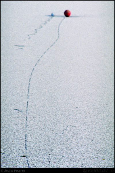 Fotografia: Despre prietenie / About Friendship, KERUCOV .ro © 1997 - 2025 || Andrei Vocurek