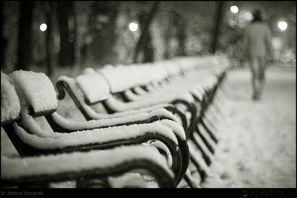 Fotografia Gradina Cismigiu, dupa inca o ninsoare / The Cismigiu Garden, After Another Snow, album Orasul Bucuresti - Parcuri si gradini / Bucharest City - Parks and Gardens, Bucuresti / Bucharest, Romania / Roumanie, KERUCOV .ro © 1997 - 2025 || Andrei Vocurek