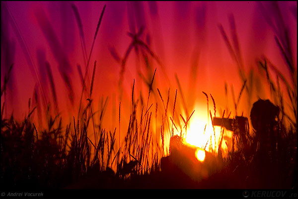 Fotografia: Safari / The Safari, KERUCOV .ro © 1997 - 2025 || Andrei Vocurek