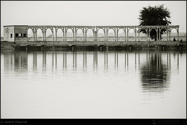 Fotografia: Copacul / The Tree, KERUCOV .ro © 1997 - 2025 || Andrei Vocurek