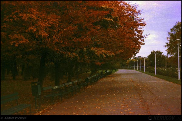 Fotografia Aleea cea mare / The Big Alley, album Orasul Bucuresti - Parcuri si gradini / Bucharest City - Parks and Gardens, Bucuresti / Bucharest, Romania / Roumanie, KERUCOV .ro © 1997 - 2025 || Andrei Vocurek