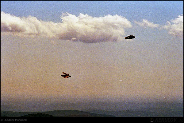Fotografia: Diferente / Differences, KERUCOV .ro © 1997 - 2025 || Andrei Vocurek