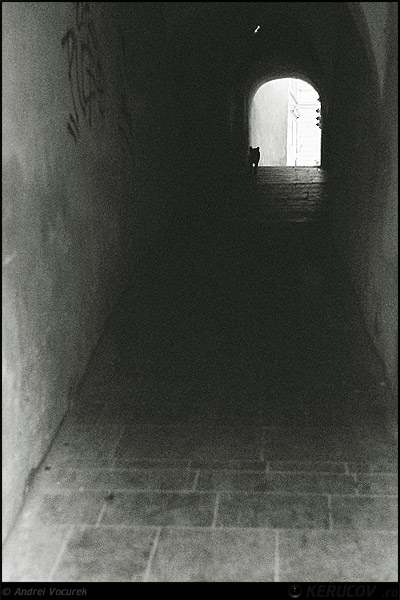 Fotografia: Ziua cainelui negru / The Day Of The Black Dog, KERUCOV .ro © 1997 - 2025 || Andrei Vocurek