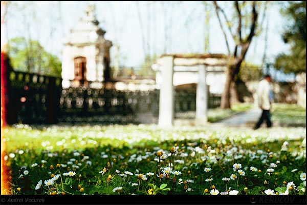 Fotografia: Gradina Palatului Topkapi / Topkapi Palace (Sarai) Garden, KERUCOV .ro © 1997 - 2022 || Andrei Vocurek