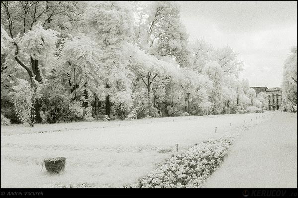 Fotografia: Vara, iarna in Cismigiu / Summer, Winter In Cismigiu, KERUCOV .ro © 1997 - 2022 || Andrei Vocurek