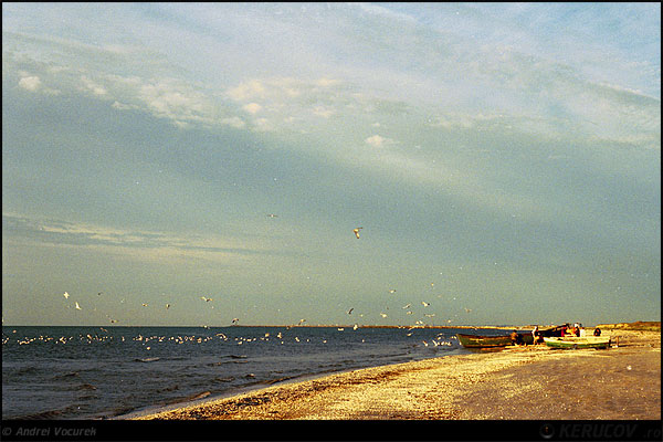 Fotografia In zori / Dawn, album Imagini la malul Marii Negre / Pictures On The Black Sea Seaside, Corbu, Romania / Roumanie, KERUCOV .ro © 1997 - 2025 || Andrei Vocurek
