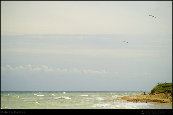 Fotografia Pictorul de valuri / The Painter Of Waves, album Marea mea Vama Veche / Vama Veche and My Big Sea, Vama Veche, Romania / Roumanie, KERUCOV .ro © 1997 - 2025 || Andrei Vocurek