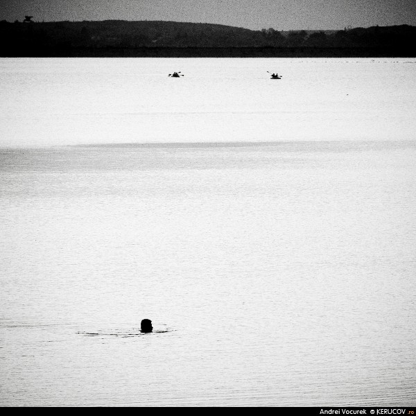 Fotografia: Inotatorul / The Swimmer, KERUCOV .ro © 1997 - 2025 || Andrei Vocurek
