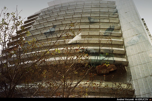Fotografia: Porumbei XXI / XXI Pigeons, KERUCOV .ro © 1997 - 2025 || Andrei Vocurek