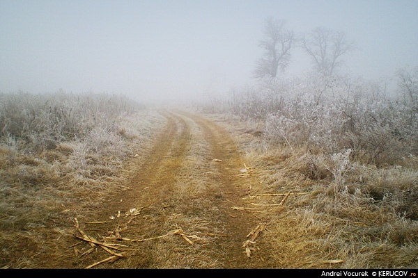 Fotografia Drumul / The Road, album Vremuri si spatii din Romania / Times and Spaces from Romania, Draganesti - Vlasca, Romania / Roumanie, KERUCOV .ro © 1997 - 2025 || Andrei Vocurek