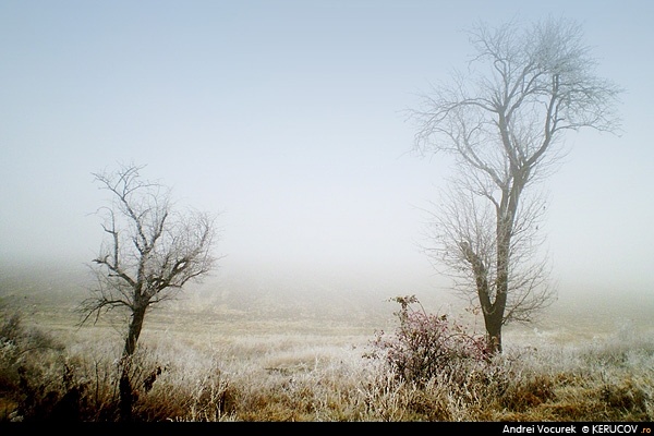 Fotografia: Intre toamna si iarna / Between Autumn And Winter, KERUCOV .ro © 1997 - 2025 || Andrei Vocurek