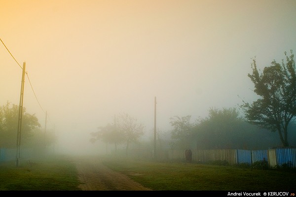 Fotografia: Ceturi matinale - 2 / Morning Fog - 2, KERUCOV .ro © 1997 - 2025 || Andrei Vocurek