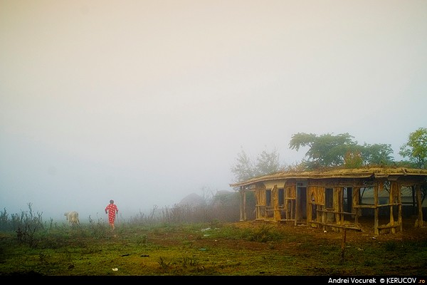 Fotografia: Intr-o dimineata rece / In One Cold Morning, KERUCOV .ro © 1997 - 2022 || Andrei Vocurek