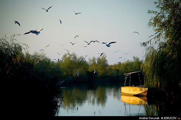 Fotografia: Pescarusii / The Seagulls, KERUCOV .ro © 1997 - 2025 || Andrei Vocurek