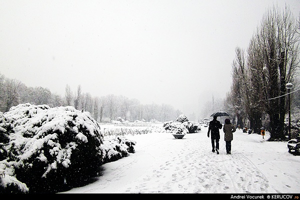 Fotografia: Prin ninsoare / Through The Snow, KERUCOV .ro © 1997 - 2022 || Andrei Vocurek