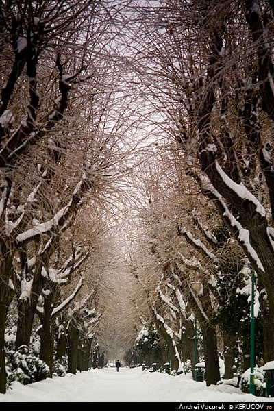 Fotografia: Iarna ca un fus / Winter Like A Spindle, KERUCOV .ro © 1997 - 2022 || Andrei Vocurek