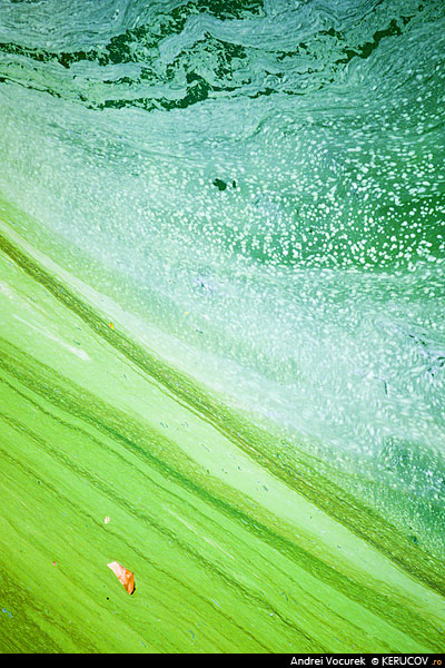Fotografia: Ape verzi / Green Waters, KERUCOV .ro © 1997 - 2022 || Andrei Vocurek