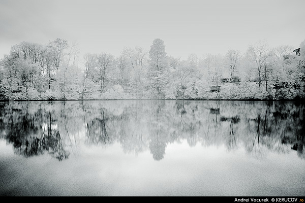 Fotografia: Pregatire de iarna / Winter Arrangement, KERUCOV .ro © 1997 - 2025 || Andrei Vocurek