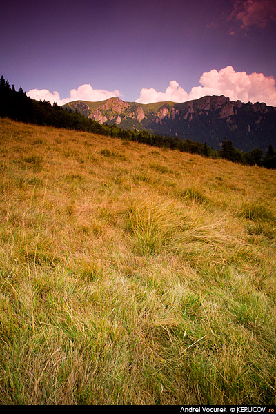 Fotografia Lin / Mild, album Pasul peste munti / Step Over Mountains, Muntii Ciucas, Romania / Roumanie, KERUCOV .ro © 1997 - 2022 || Andrei Vocurek