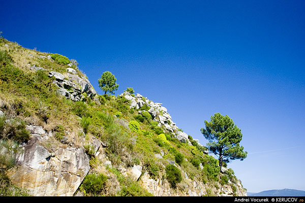 Fotografia: La limita / To The Limit, KERUCOV .ro © 1997 - 2025 || Andrei Vocurek