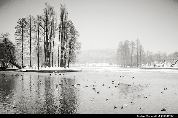 Fotografia Insula / The Island, album Orasul Bucuresti - Parcuri si gradini / Bucharest City - Parks and Gardens, Bucuresti / Bucharest, Romania / Roumanie, KERUCOV .ro © 1997 - 2022 || Andrei Vocurek
