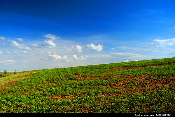 Fotografia: Campul primavara / The Field In The Spring, KERUCOV .ro © 1997 - 2025 || Andrei Vocurek