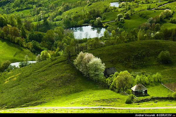 Fotografia Valea de Verde / Valley Of Green, album Vremuri si spatii din Romania / Times and Spaces from Romania, Rosia Montana, Romania / Roumanie, KERUCOV .ro © 1997 - 2022 || Andrei Vocurek