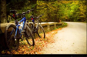 Traseu cu bicicleta MTB XC Sinaia - Cota 1400 - Poiana Regala - Cumpatu - Sinaia - KERUCOV .ro © 2007 - 2025 || #traseecubicicleta #mtb #ssp