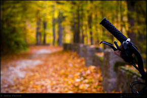 KERUCOV .ro - Fotografie si Webdesign - Traseu MTB Sinaia - Cota 1400 - Poiana Regala - Cumpatu - Sinaia de Andrei Vocurek