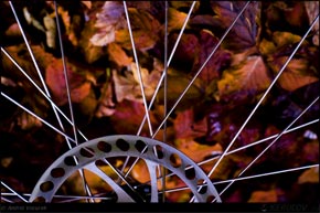 KERUCOV .ro - Fotografie si Webdesign - Traseu MTB Sinaia - Cota 1400 - Poiana Regala - Cumpatu - Sinaia de Andrei Vocurek