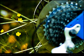 KERUCOV .ro - Fotografie si Webdesign - Traseu MTB Sinaia - Cota 1400 - Poiana Regala - Cumpatu - Sinaia de Andrei Vocurek