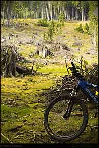 KERUCOV .ro - Fotografie si Webdesign - Traseu MTB Piatra Craiului: Predeal - Zarnesti - Dambovicioara - Sirnea - Magura - Brasov (3 zile) de Andrei Vocurek