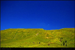 KERUCOV .ro - Fotografie si Webdesign - Traseu MTB Muntii Bucegi: Sinaia - Saua Dichiu - Valea Dorului - Miorita - Cota 2000 - Sinaia de Andrei Vocurek