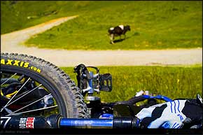 KERUCOV .ro - Fotografie si Webdesign - Traseu MTB Muntii Bucegi: Sinaia - Saua Dichiu - Valea Dorului - Miorita - Cota 2000 - Sinaia de Andrei Vocurek