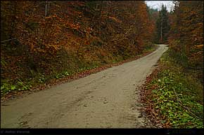 KERUCOV .ro - Fotografie si Jurnale de Calatorie - Traseu MTB Muntii Ciucas: Cheia - Cheile Vaii Stanei - Cabana Ciucas - Cheia de Andrei Vocurek