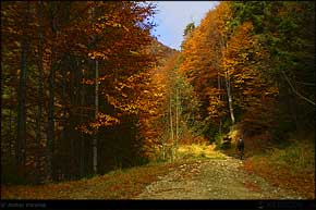 KERUCOV .ro - Fotografie si Jurnale de Calatorie - Traseu MTB Muntii Ciucas: Cheia - Cheile Vaii Stanei - Cabana Ciucas - Cheia de Andrei Vocurek