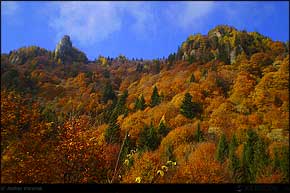 KERUCOV .ro - Fotografie si Jurnale de Calatorie - Traseu MTB Muntii Ciucas: Cheia - Cheile Vaii Stanei - Cabana Ciucas - Cheia de Andrei Vocurek