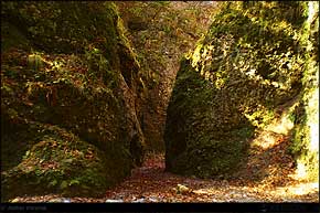 KERUCOV .ro - Fotografie si Jurnale de Calatorie - Traseu MTB Muntii Ciucas: Cheia - Cheile Vaii Stanei - Cabana Ciucas - Cheia de Andrei Vocurek