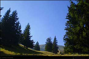 KERUCOV .ro - Fotografie si Jurnale de Calatorie - Traseu MTB Muntii Ciucas: Cheia - Cheile Vaii Stanei - Cabana Ciucas - Cheia de Andrei Vocurek