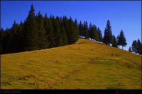 KERUCOV .ro - Fotografie si Jurnale de Calatorie - Traseu MTB Muntii Ciucas: Cheia - Cheile Vaii Stanei - Cabana Ciucas - Cheia de Andrei Vocurek