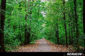 Traseu cu bicicleta MTB XC Bucuresti - Baneasa - Padurea Baneasa - KERUCOV .ro © 2007 - 2025 || #traseecubicicleta #mtb #ssp