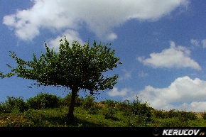 KERUCOV .ro - Fotografie si Webdesign - Traseu MTB Valea Doftanei - Valea Prahovei: Paltinu - Secaria - Comarnic - Breaza - Campina de Andrei Vocurek