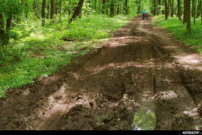 KERUCOV .ro - Fotografie si Jurnale de Calatorie - Traseu MTB Padurea Baneasa - Palatul Ghica (Prima Evadare) de Andrei Vocurek